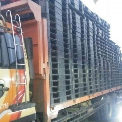 Palet Plastik Berkualitas1d