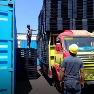 Palet Plastik Berkualitas1e9v1